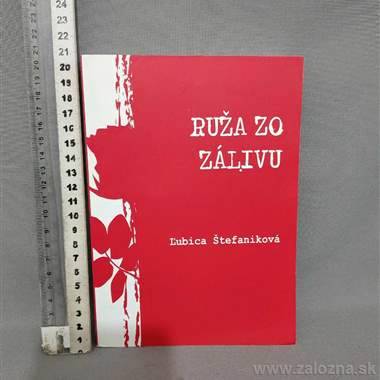 Kniha