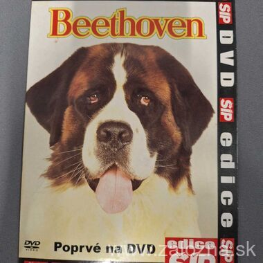 DVD nosič