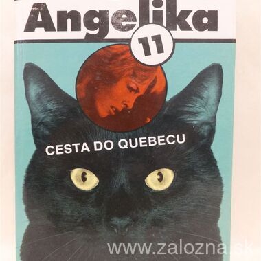 Kniha