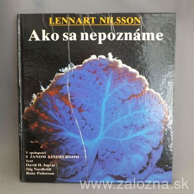 Kniha