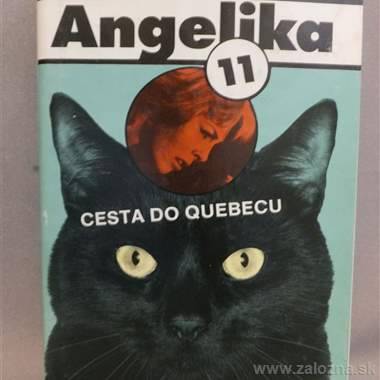 Kniha