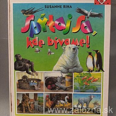 Kniha