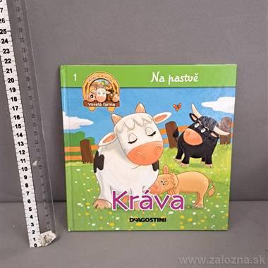 Kniha